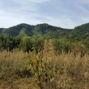 거함대로 이미지