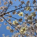 논현포대근린공원(축구장) 네이버블로그