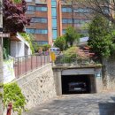 비밀의 정원 이미지