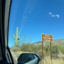 East Side | Tucson┃미국 애리조나 투손 여행 @사와로(사구아로) 국립공원 이스트 Saguaro National Park East Side