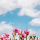 동명행정사 이미지