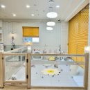 울산 제이앤독 애견샵 이미지