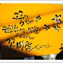 이동꽃마을 이미지