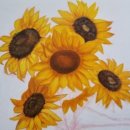 (주)보고유화 이미지