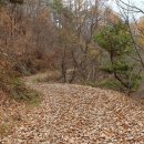 포항시 불법주차차량 견인사무소 | 50. 소백산자락길 6자락 고드너머재-영춘면사무소 13.8km (2019.11.17)