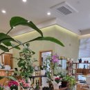 꽃카페 아질르 이미지