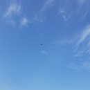 녹색화원 이미지