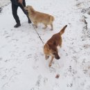 박순호의 아이슬란드 이미지