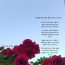 향기로 여는 마음의 문 이미지