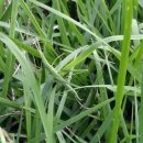 화양농장 이미지