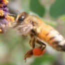 꿀벌아 고마워 공인중개사사무소 이미지