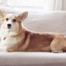 헤이든동물병원 이미지