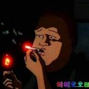 바비호호