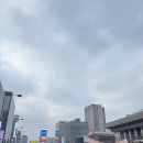 미용그룹세종올림픽 | 2026 더 레이스 서울 21K 코스 짐보관 기념품 총정리 인생 처음 어쩌다 하프 완주한 후기