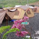 거차뻘배체험마을 이미지