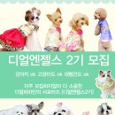 퍼피엔젤스 | 디얼퍼피 서포터즈 [디얼엔젤스2기 모집] +응원상도 있어요