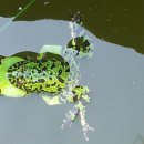 무지개황토 이미지