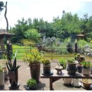 죽백농원 이미지