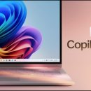 MELT(멜트) 이미지