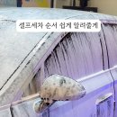 운정셀프세차장 이미지