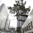 포레온서울약국 이미지