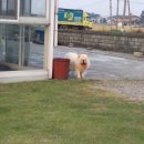 아리하우스 이미지