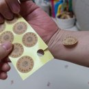 전우인터네셔널 이미지