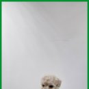 에르멍스 이미지