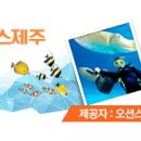 서해스킨스쿠버다이빙