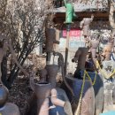 청산고개쉼터 이미지