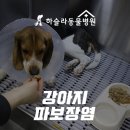 하슬라동물병원 이미지