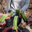투썸플레이스양산 - 양산시 야리로 112 | 투썸플레이스양산