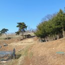 영진2농장 이미지