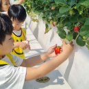 남초병설유치원 이미지