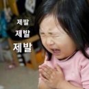 세움광고기획 | [마케팅 부트캠프/퍼포먼스 마케터 취업 준비] 도와세움 디마에 95기 2주차①_프로젝트 팀 짜기