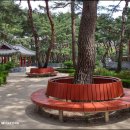 솔밭근린공원 이미지