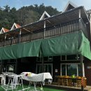 퍼니멍멍 장미애견펜션 이미지