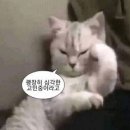 필스바베큐