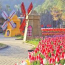 4월30일(목)부천 무릉도원의 꽃길과 부천 자연생태공원 (주민증 챙겨서 오세요.) 이미지