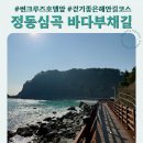 햇빛부서지는바다 | 정동진 바다부채길 후기 썬크루즈 호텔 옆 걷기 좋은 해안길 코스
