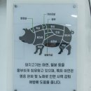 그돼지그릴에빠진통돼지