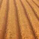 주식회사스마트엘 이미지