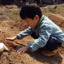 신디농장 이미지