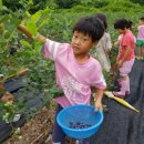 평동마을회관 이미지