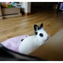 복길농장 이미지