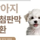 도곡동행동물병원 이미지