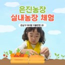 은진농장 | [강남 아이랑 갈만한곳] 은진농장 실내농장체험