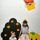 감귤박물관 위 이미지