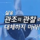 삶 - 관조 이미지