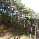 가족이 있는 풍경 이미지